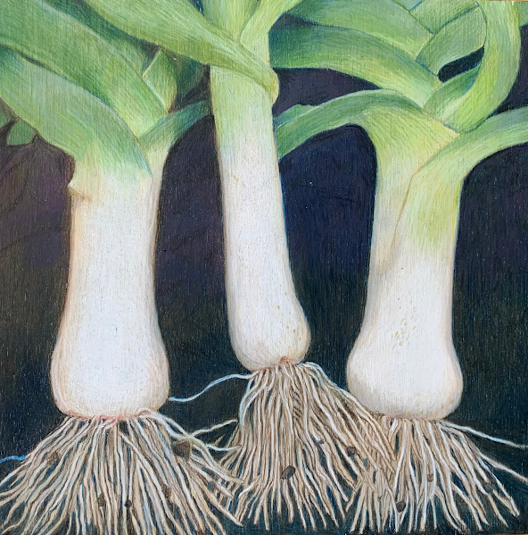 Three Leeks, mixed media on panel, 12" x 12", private collection.