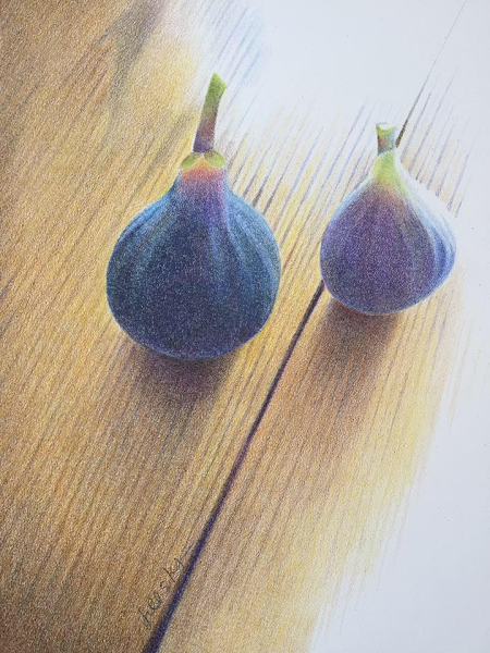 Two Figs, mixed media on panel, 11" x 14", private collection.
